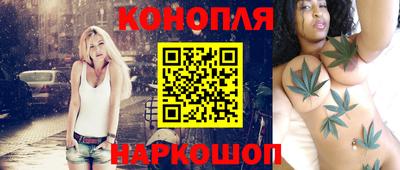 спиды Камышлов