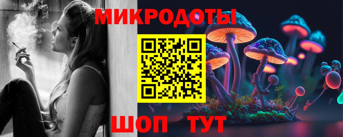 Галлюциногенные грибы Psilocybe Ленинск-Кузнецкий